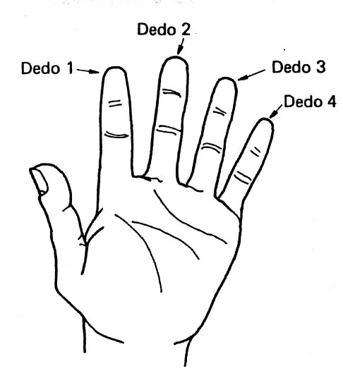 Aula Contrabaixo Iniciante - Aula 1